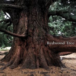 Redwood Tree album cover