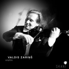 Violin Concerti album cover