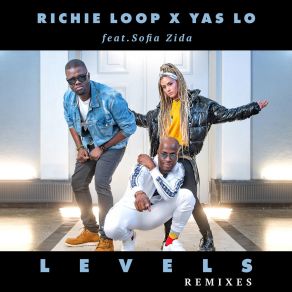 Levels (Remixes) album cover
