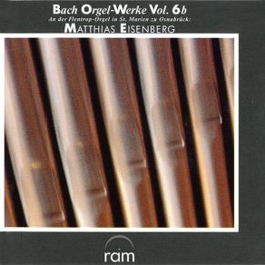 J. S. Bach: Orgel-Werke Vol. 6b: An Der Flentrop-Orgel In St. Marien Zu Osnabrück album cover