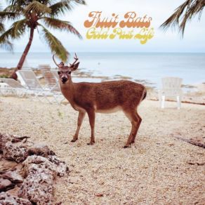 Gold Past Life album cover