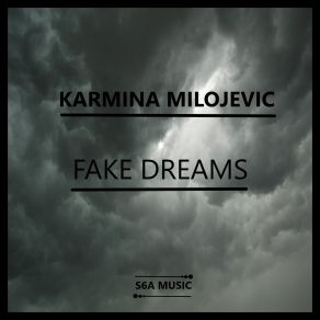 Fake Dreams album cover