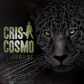 Jaguar album cover