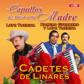 Capullos De Amor A Mi Madre album cover