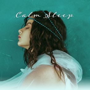 Calm Sleep – Jazz Relaxation, Instrumental Melodies At Night, Reduce Stress, Jazz Music Ambient album cover
