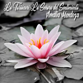 La Tariácuri, La Señora Del Sentimiento album cover