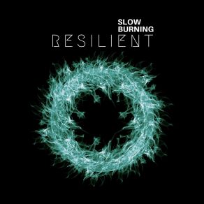 Slow Burning album cover