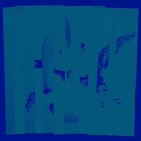 House Creature album cover