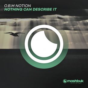 Nothing Can Describe It (Single) album cover