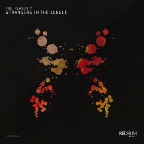 Strangers In The Jungle (Original Mix) album cover