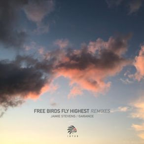 Free Birds Fly Highest Remix Session 01 album cover