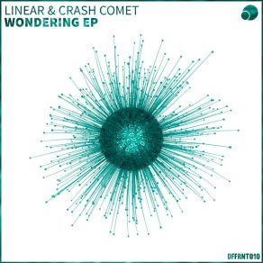Wondering album cover