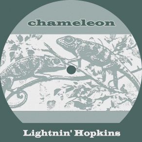 Chameleon album cover