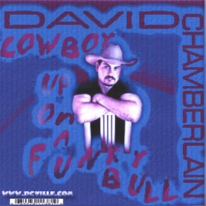 Funky Cowboys Vol. 2 album cover