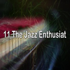 11 The Jazz Enthusiat album cover