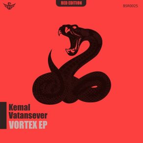 Vortex album cover