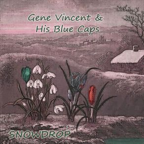 Snowdrop album cover