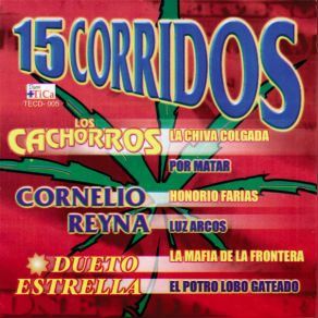 15 Corridos album cover