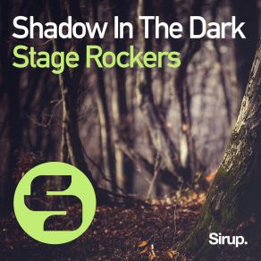 Shadow In The Dark album cover