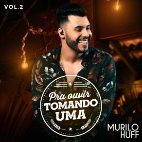 Pra Ouvir Tomando Uma, Vol. 2 album cover