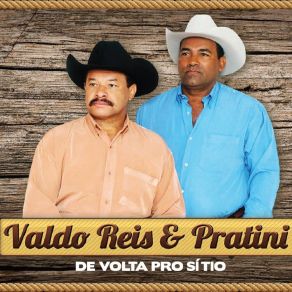 De Volta Pro Sítio album cover