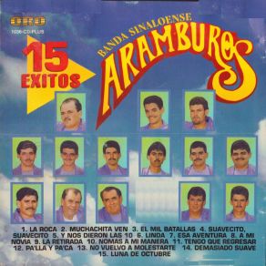 15 Exitos album cover