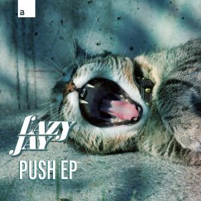 Push album cover