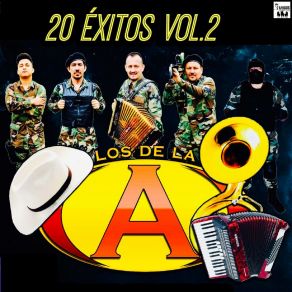 20 Exitos Vol. 2 album cover