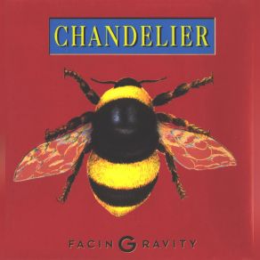 Facing Gravity album cover