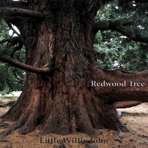 Redwood Tree album cover