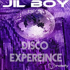 Disco Experience album cover