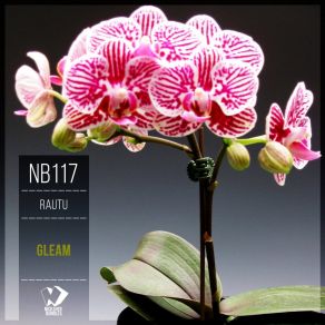Gleam (Original Mix) album cover