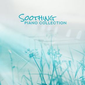 Soothing Piano Collection - Music That Relieves Stress, Relaxes And Calms Down album cover
