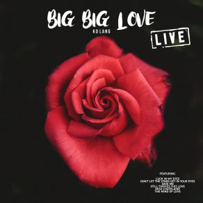 Big Big Love (Live) album cover