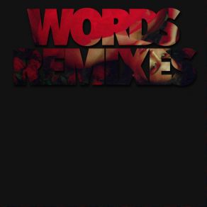 Words Remixes album cover