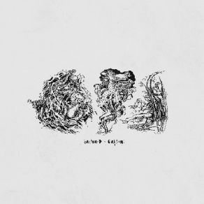 Calling album cover