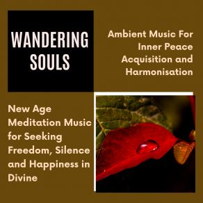 Wandering Souls (Ambient Music For Inner Peace Acquisition And Harmonisation) (New Age Meditation Music For Seeking Freedom, Silence And Happiness In Divine) album cover