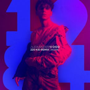1984 (220 Kid Remix And More) album cover