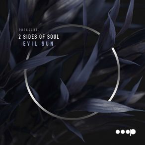 Evil Sun album cover