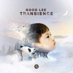 Transience album cover