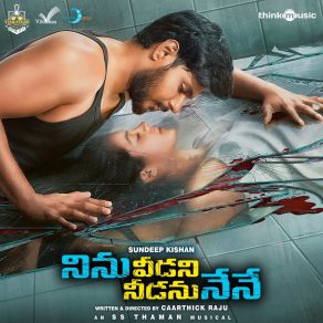 Ninu Veedani Needanu Nene (Original Motion Picture Soundtrack) album cover