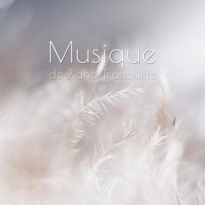 Musique De Piano Tranquille album cover