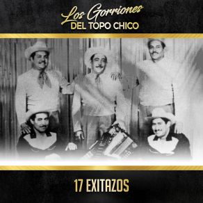17 Exitazos album cover