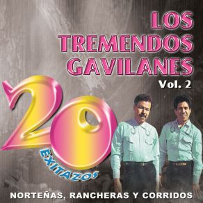20 Exitazos: Los Tremendos Gavilanes, Vol. 2 album cover
