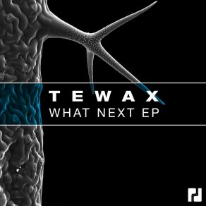 What Next album cover
