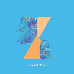 Summer Rain album cover