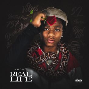 Real Life album cover