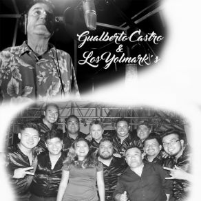Homenaje A Gualberto Castro album cover
