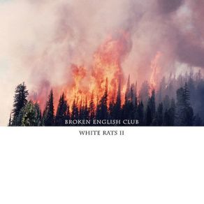 White Rats II album cover