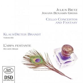 Rietz & Gross: Cello Concertos & Fantasy album cover